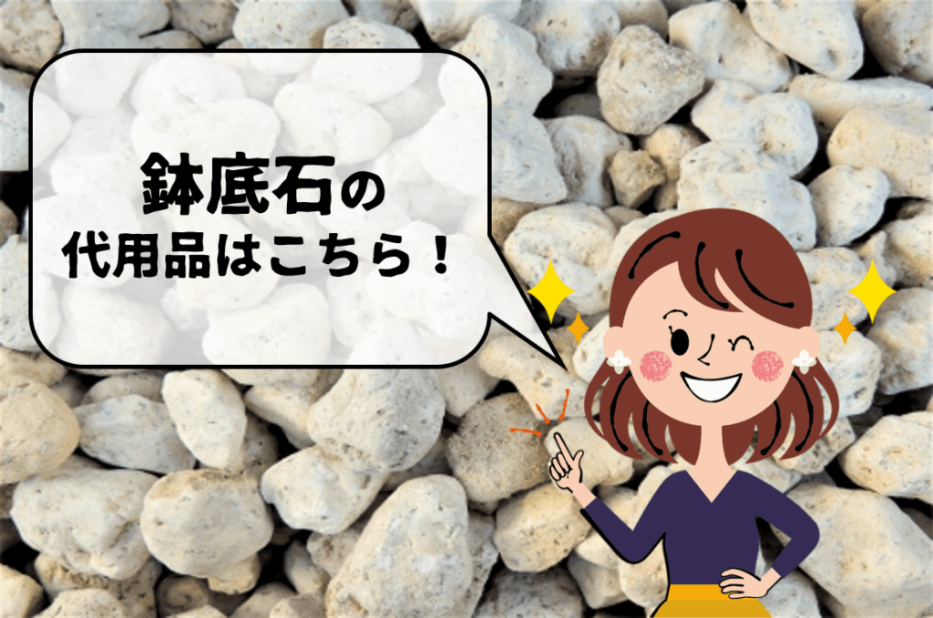 鉢底石の代用品 12選】代わりになるのはコレ!!砂利・発泡スチロールなどおすすめ代替品を紹介！ | 代用品お探しサイト｜ 困った時に役立つ【カワルン】